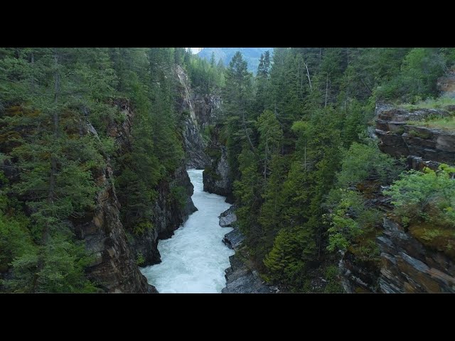 Watch Splash down in the East Kootenays warm waters this summer #RockiesExploring on YouTube.