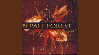 Watch Pale Forest The Pale Suit Of Drunkenness video