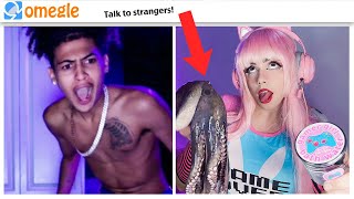 BELLE DELPHINE Goes On Omegle (But She's a Guy)
