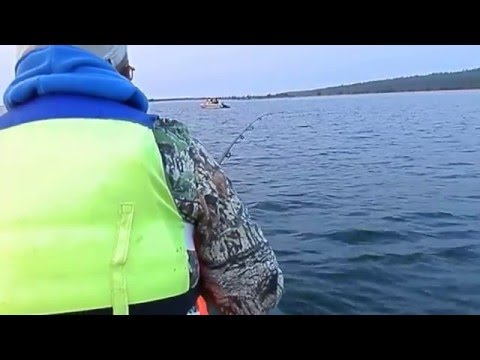 омулевая рыбалка омулевая рыбалка
