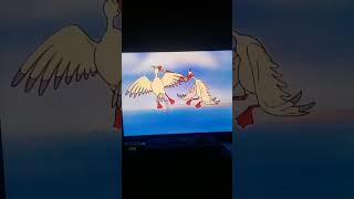 Seagulls Fighting Over Fish Fandub 3
