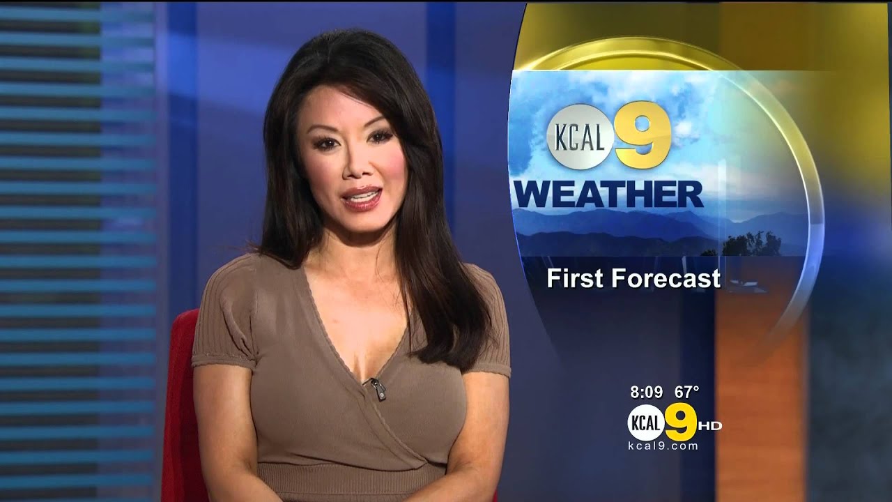 Newscaster mia lee boob job