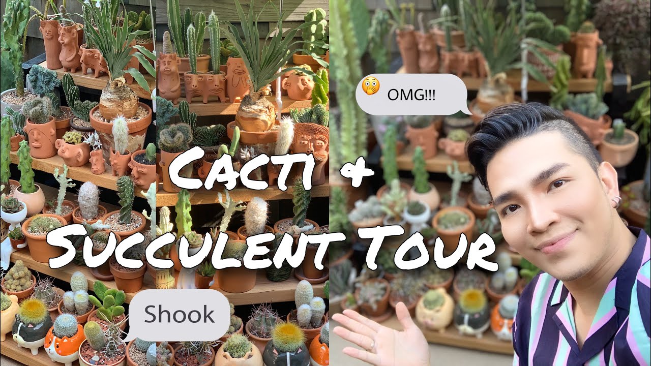 maurav605352089 maurav605352089