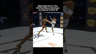 Joy Obanla Took Some Damage On Her Way To A Tko Against Nelson Ufot