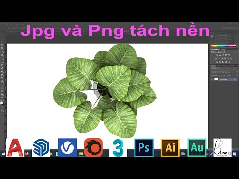 cách xóa logo trong photoshop