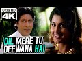 Dil Mere Tu Deewana Hai (Male)- 4K Video | Amitabh Bachchan | Sooryavansham | Kumar Sanu | Anu Malik