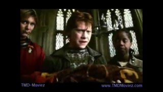 Watch Harry The Potters The Missing Arm Of Viktor Krum video
