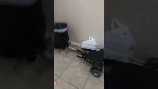 X Gang Were You Im Back
