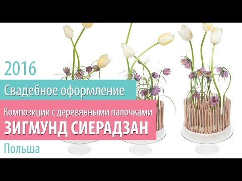 Оригинальные и необычные интерьеры. Уникальные и эксклюзивные дизайны Обои компаньоны: оригинальные примеры сочетания обоев