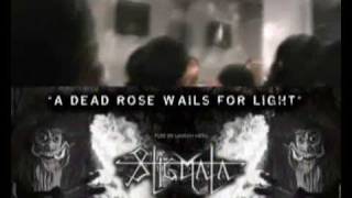 Watch Stigmata A Dead Rose Wails For Light video