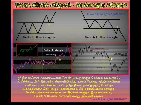 Forex trading in tamil youtube
