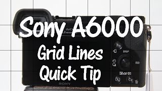 Sony A6000 Quick Tip - Grid Lines
