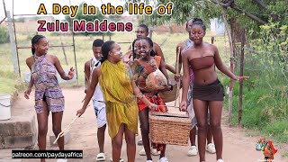 A Day In The Life Of Zulu Maidens Traditional Zulu Culture & Rituals