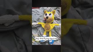 Sonic Game Characterray The Flying Squirrel
