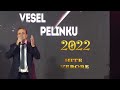 Vesel  Pelinku - Luj , luj se te paska hije  ( Official video 4K )  Hite Verore 2022