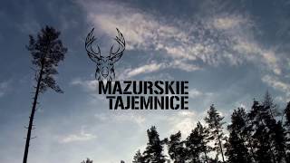 WAŁY - Tajemnica Leśnego Pomnika