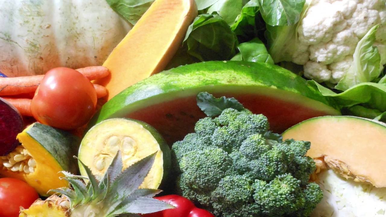 Food Security Videos