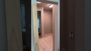 Mirror Barn Door