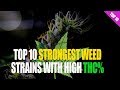 Top 10 Strongest WEED Strains with their THC level!.