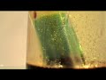 Popsicle Escappee (Short Stack)