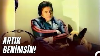 Kemal, Murtazanın Kızını Kaçırıyor Bin Defa Ölürüm