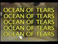 SOKO :: Ocean Of Tears