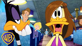 Looney Tunes Em Português 🇧🇷 | Cirurgia Pós-Bico | @Wbkidsbrasil