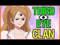 The Three Eye Clan & The Voice of All Things - One Piece Theory