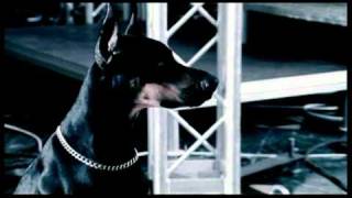 Алена Винницкая - 007