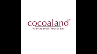 Mgt400 Challenges In Managing Company In 21St Century Cocoaland Holdings Berhad