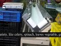 Packing Machine for Vegetables series-6,日本蔬菜包装机系列-6