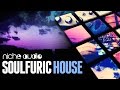 Soulfuric House Maschine Expansion & Ableton Live Pack - From Niche Audio