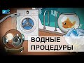 Тест №1: Аквариум. Краш-тест waterproof телефонов