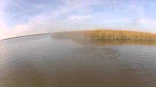 Epic marsh fly fishing trailer