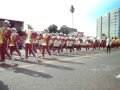 Texas Langhorns marching band