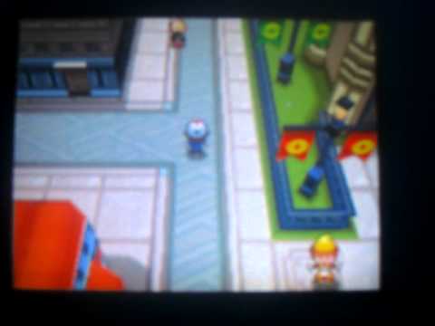 how to make your pokemon
