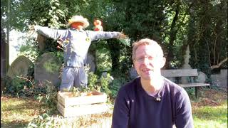 Marks Harvest Story