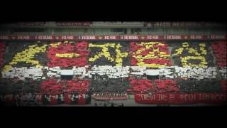 DZ-idZCkyUQ Video Image