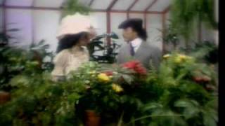 Watch Shalamar I Dont Wanna Be The Last To Know video