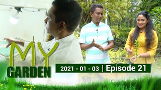 My Garden | Episode 21 | 03 - 01 - 2021