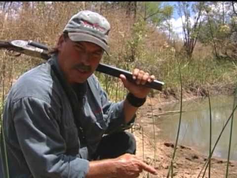 Mark Sullivan's Greatest Hippo Charges DVD Vol. 1-Diizche Safari Adventures Clip