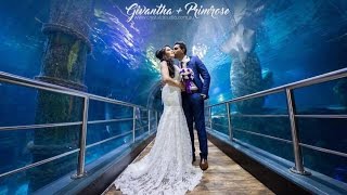 First Sri Lankan Engagement Sea Life Melbourne Aquarium Trailer Of Givantha & Primrose