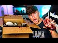 I Opened a Dark Web MYSTERY BOX & Found This..