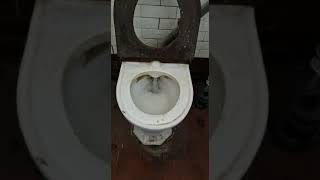 Rare Late 1800S - 1900S Shanks Barrhead High Level Syphonic Toilet