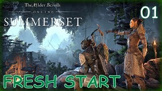 Eso Summerset Gameplay Walkthrough Warden Healer Fresh Start Xbox One X No Commentary