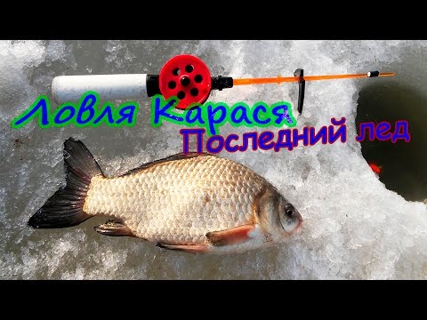 когда начинать рыбалку на карася когда начинать рыбалку на карася