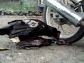 Bokep Live On Kampung images Bokep Live On Kampung