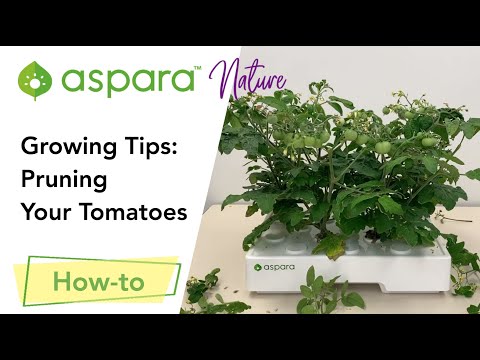 How-to Videos