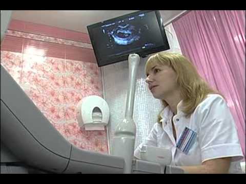 Кто гинеколог в евроклиник Кто гинеколог в евроклиник