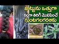 ఈ ఆకును ఇలా వాడితే I Bhringraj Powder for Hair Growth I Guntagalagara Aaku  I Health Tips in Telugu